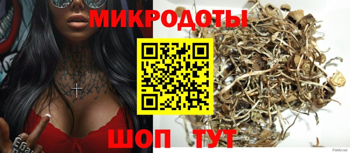 Псилоцибиновые грибы мухоморы Зима