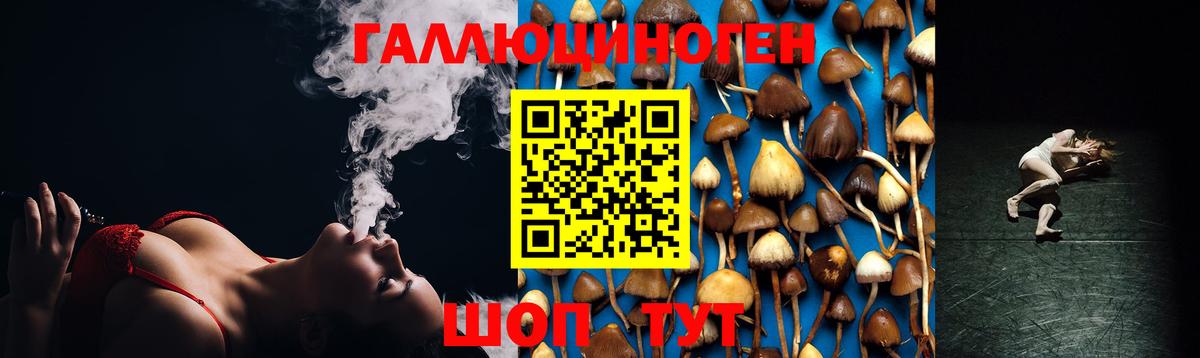 Зима  Псилоцибиновые грибы Psilocybe  Вход с VPN 